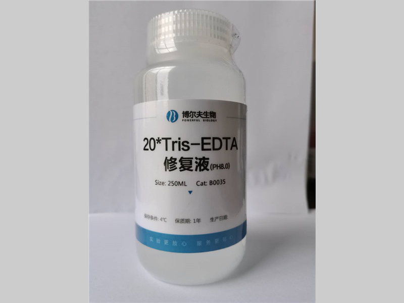 20Tris-EDTA修复液(PH8.0)